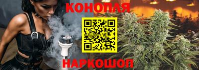 тгк Шахты