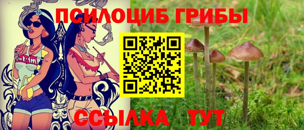 Борзя  Галлюциногенные грибы GOLDEN TEACHER  Псилоцибиновые грибы Cubensis  Вход с VPN 